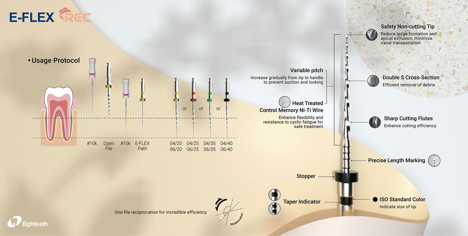 E-Flex Rec Endo File